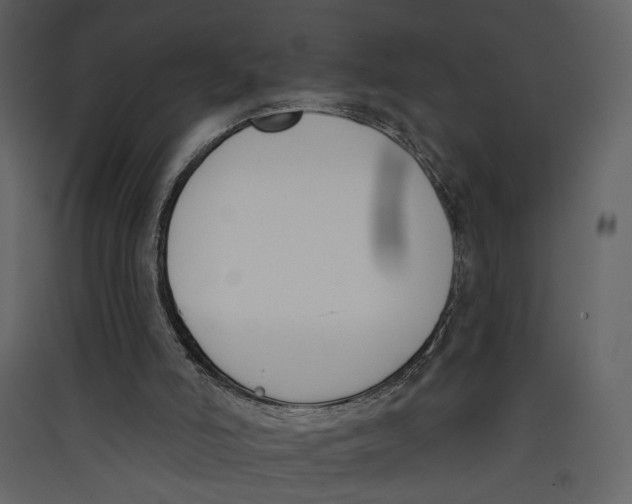 X0000089390006200707131729