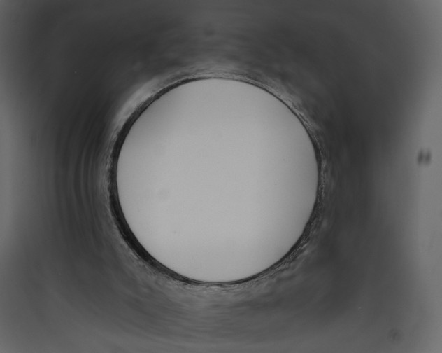 X0000089390007200707131729
