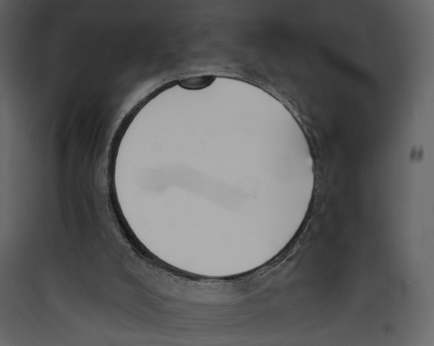 X0000089390008200707131729