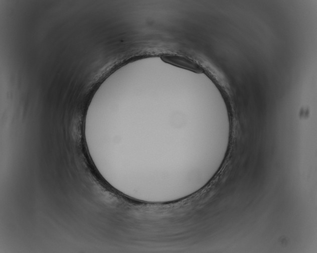 X0000089390009200707131729