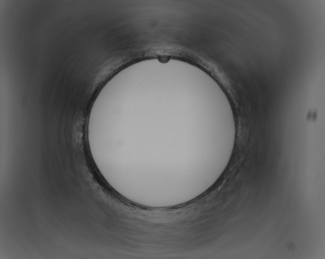 X0000089390010200707131729