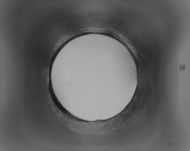X0000089390011200707131729