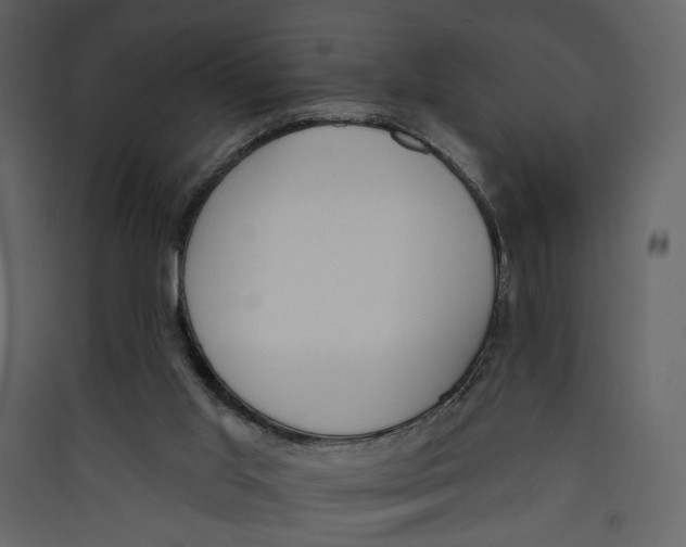 X0000089390013200707131729