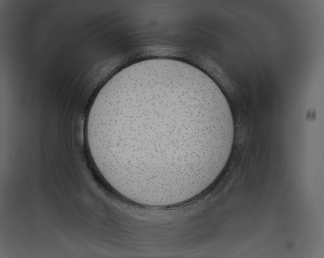 X0000089390014200707131728