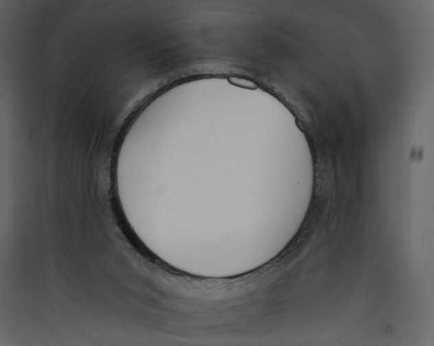 X0000089390015200707131728