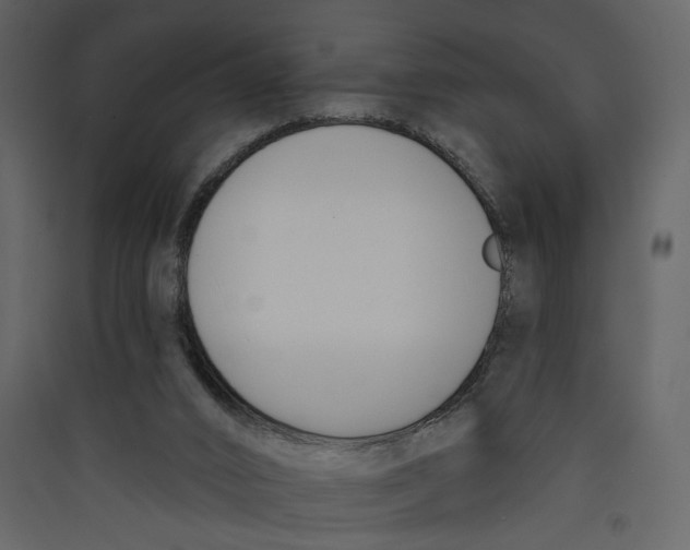 X0000089390016200707131728