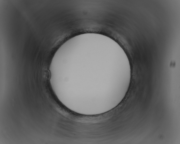 X0000089390017200707131728