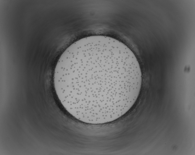 X0000089390018200707131728