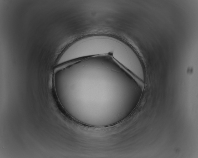 X0000089390019200707131728