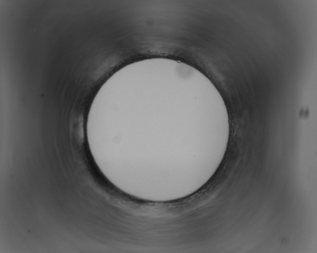 X0000089390020200707131728