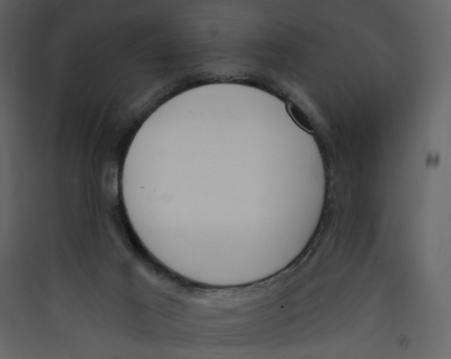 X0000089390021200707131728