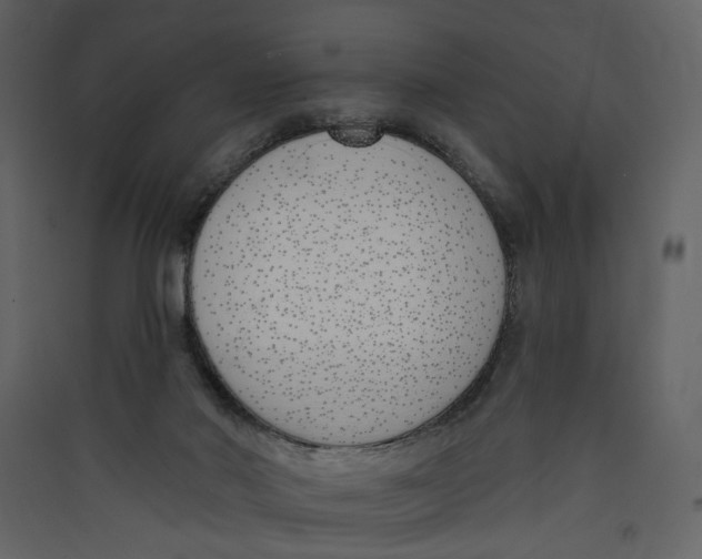 X0000089390022200707131728