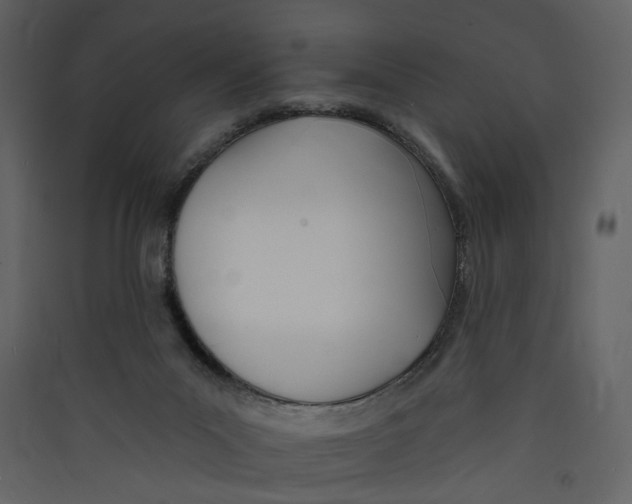 X0000089390023200707131728