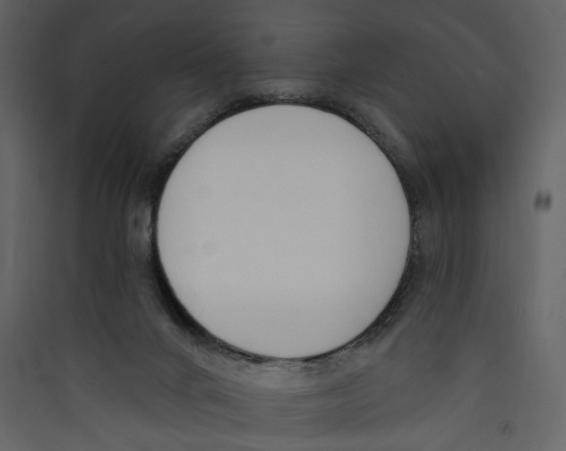 X0000089390024200707131728