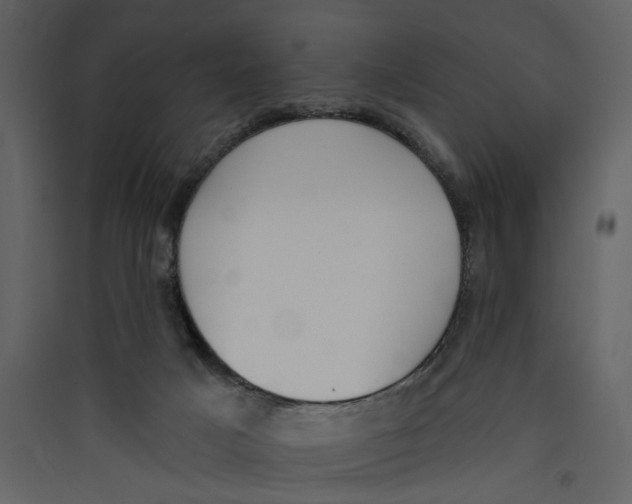 X0000089390025200707131728