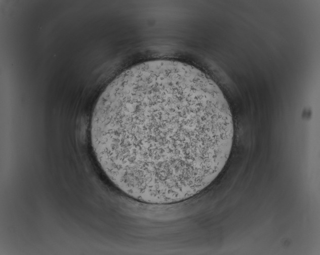X0000089390026200707131728