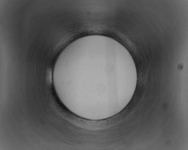X0000089390027200707131728