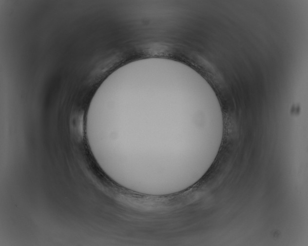 X0000089390028200707131728