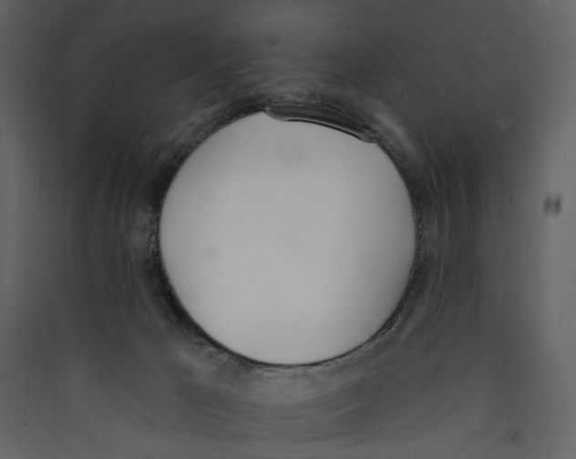 X0000089390029200707131728
