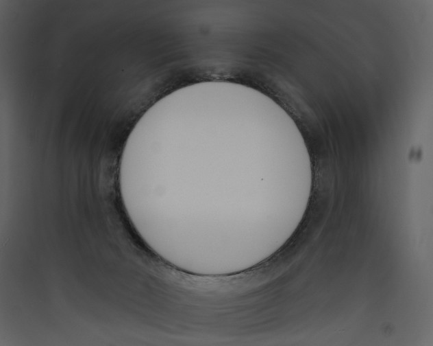X0000089390030200707131728