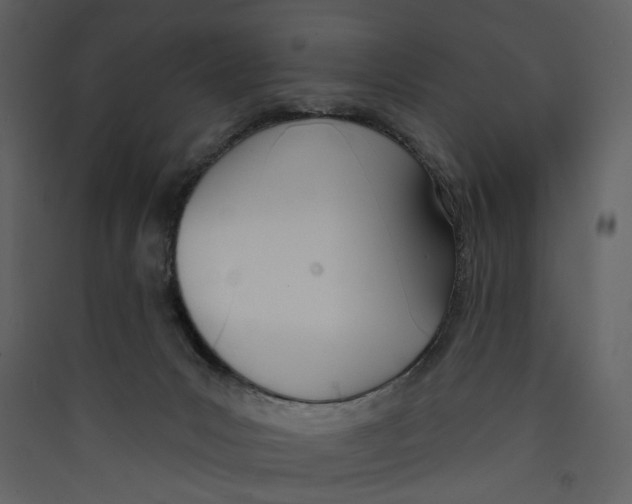 X0000089390031200707131728