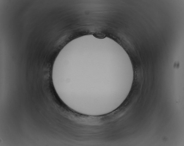 X0000089390032200707131728