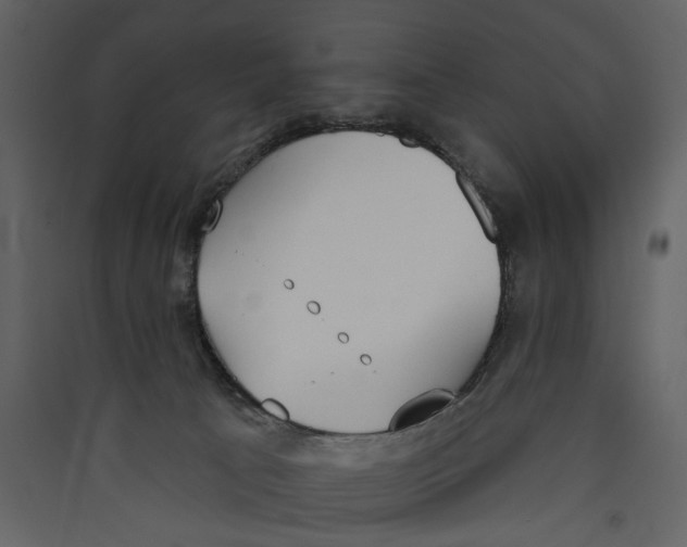 X0000089390033200707131728