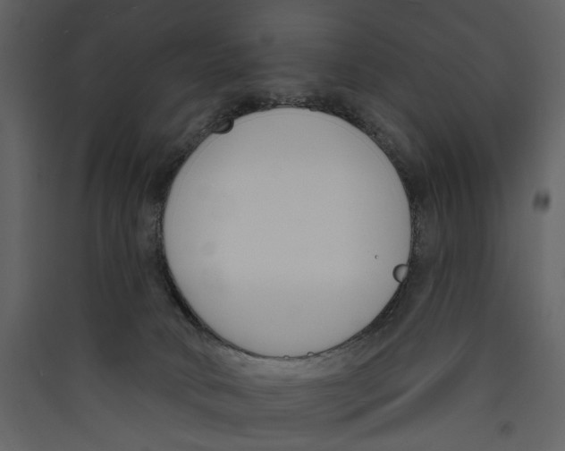 X0000089390034200707131728