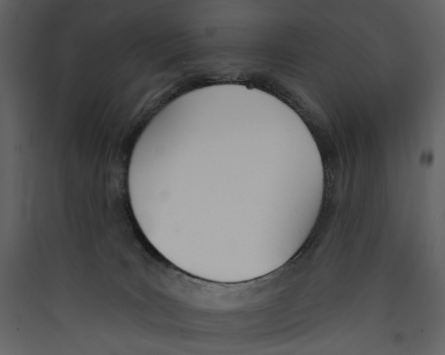 X0000089390035200707131728