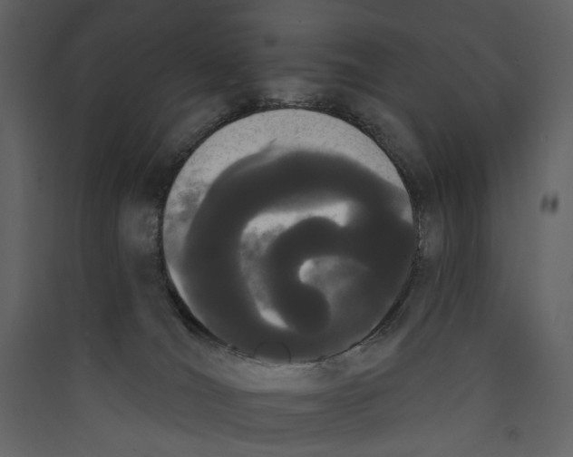X0000089390036200707131728