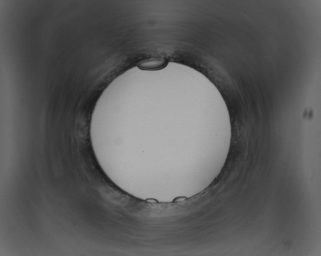 X0000089390037200707131728