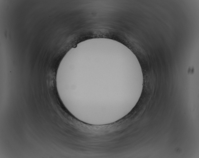 X0000089390038200707131728