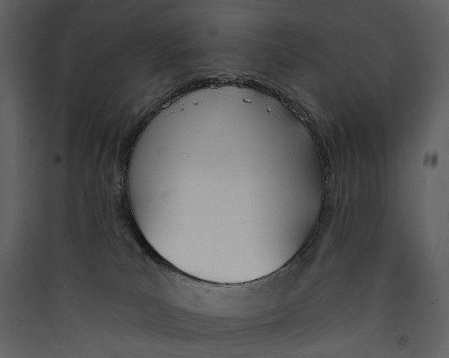 X0000089390039200707131728