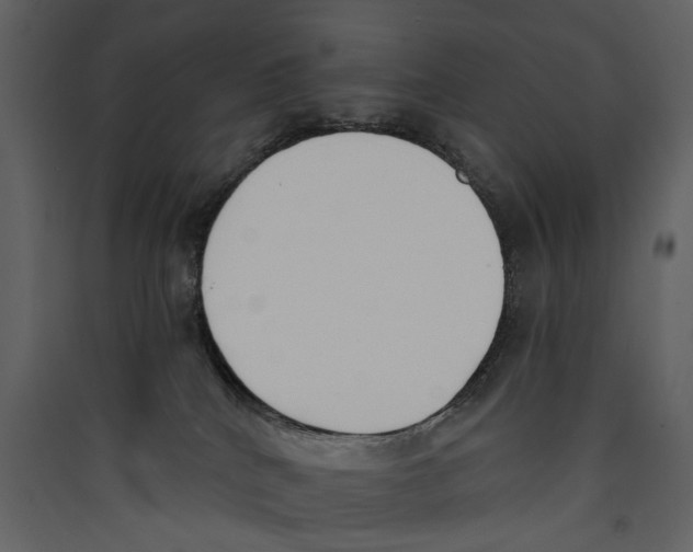 X0000089390040200707131728