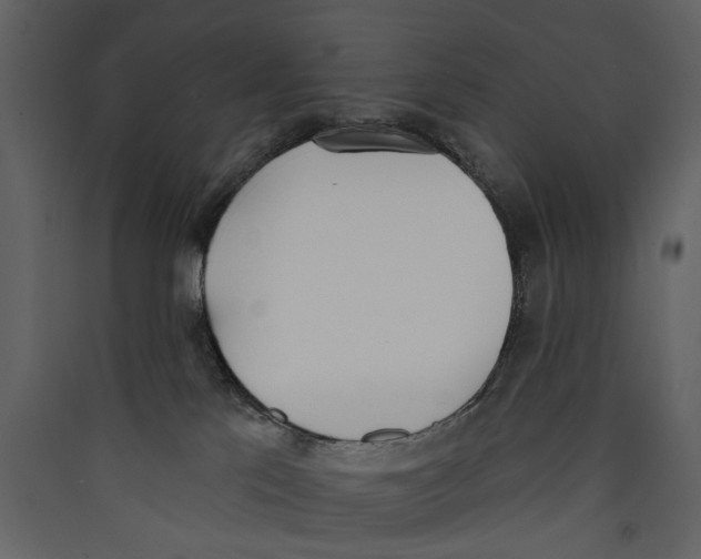 X0000089390041200707131728