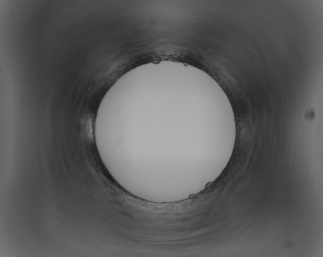 X0000089390042200707131728