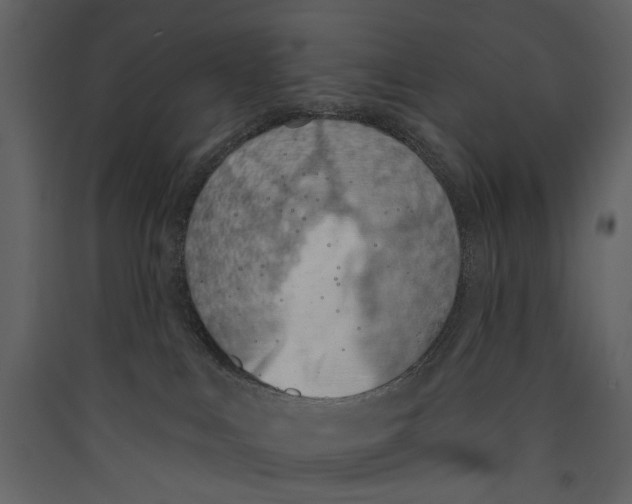 X0000089390043200707131728