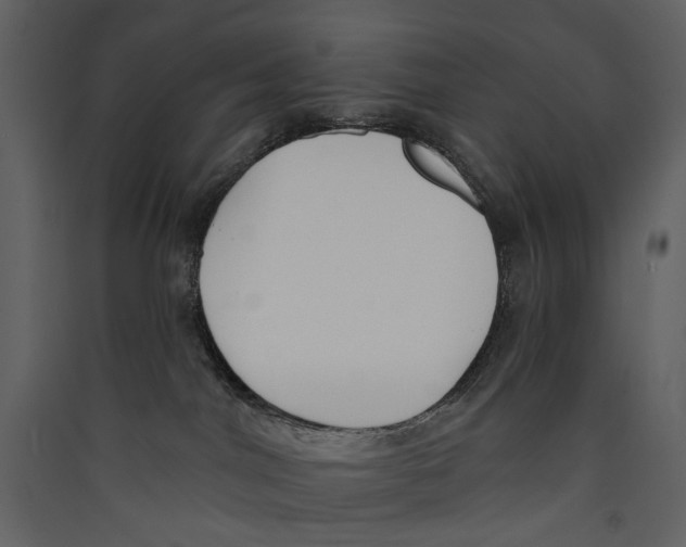 X0000089390044200707131728