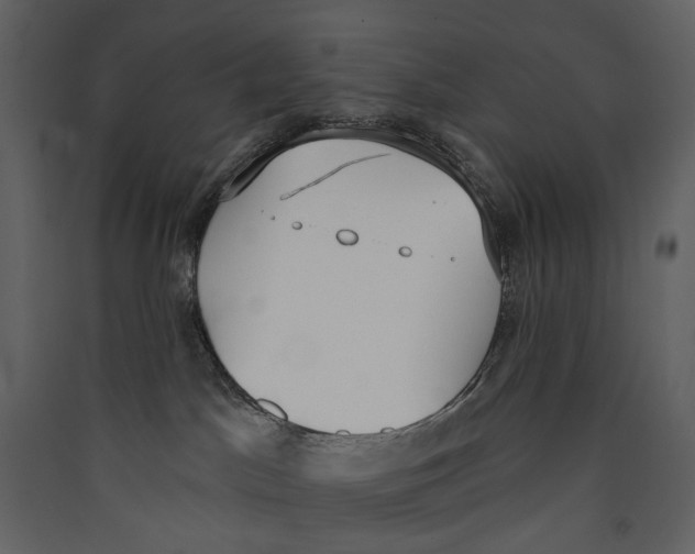 X0000089390045200707131728