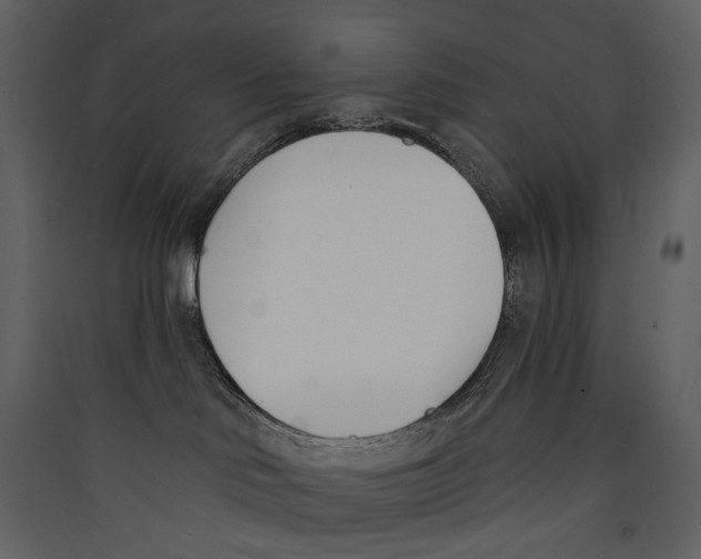 X0000089390046200707131728