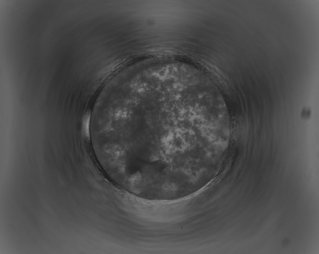 X0000089390047200707131728