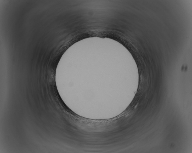 X0000089390048200707131728
