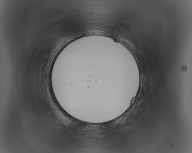 X0000089390049200707131727