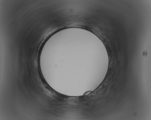 X0000089390050200707131727