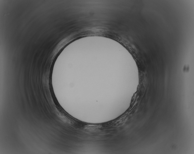 X0000089390051200707131727