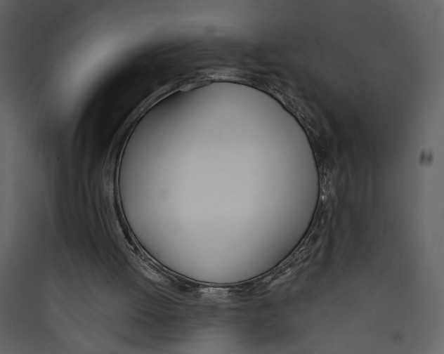 X0000089390052200707131728