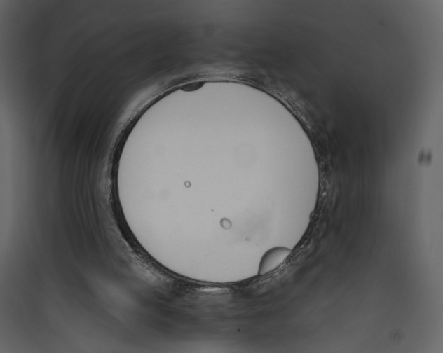 X0000089390053200707131728