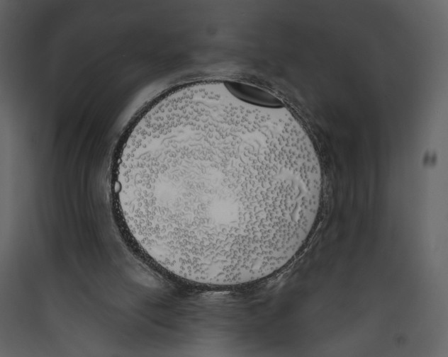 X0000089390054200707131728