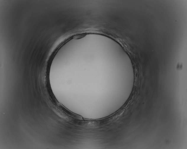 X0000089390056200707131728