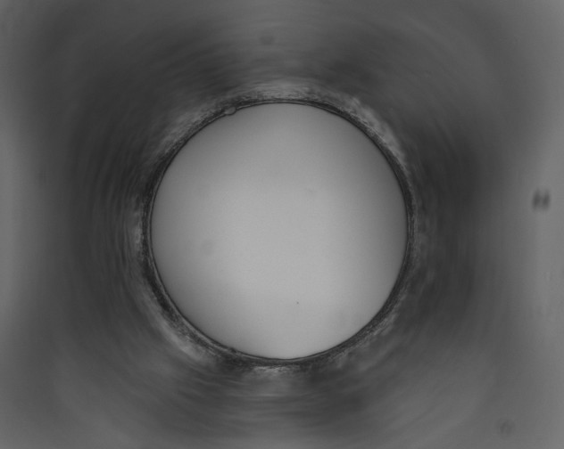 X0000089390057200707131728